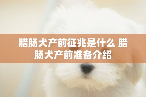 臘腸犬產前征兆是什么 臘腸犬產前準備介紹