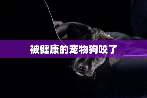 被健康的寵物狗咬了