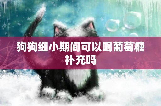 狗狗細小期間可以喝葡萄糖補充嗎