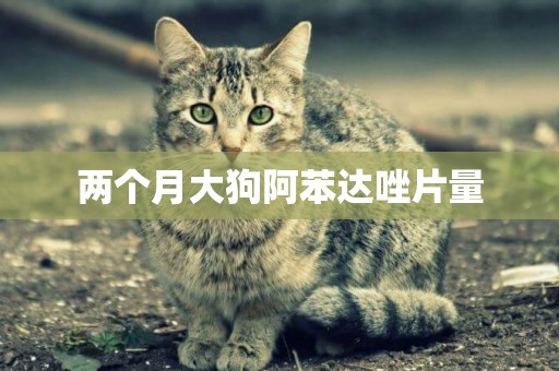 兩個月大狗阿苯達唑片量
