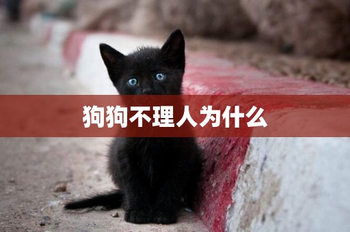 狗狗不理人為什么