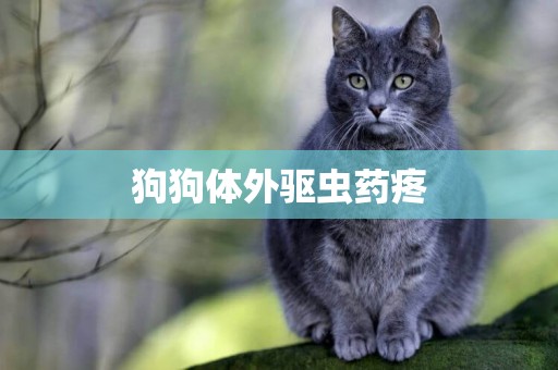 狗狗體外驅蟲藥疼