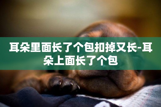 耳朵里面長了個包扣掉又長-耳朵上面長了個包