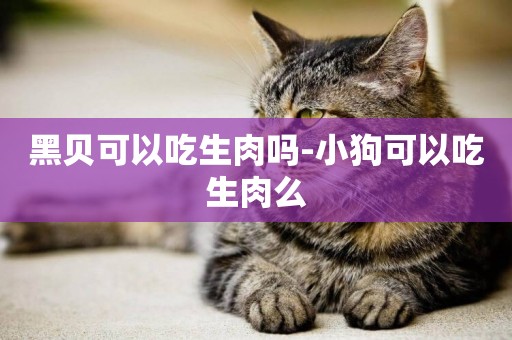黑貝可以吃生肉嗎-小狗可以吃生肉么