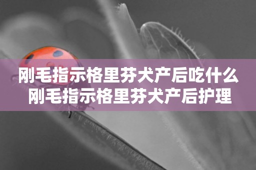 剛毛指示格里芬犬產后吃什么 剛毛指示格里芬犬產后護理
