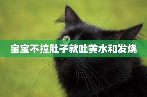 寶寶不拉肚子就吐黃水和發燒
