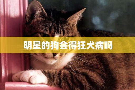 明星的狗會得狂犬病嗎