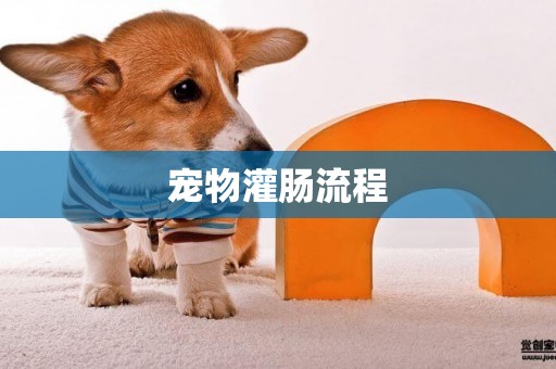寵物灌腸流程