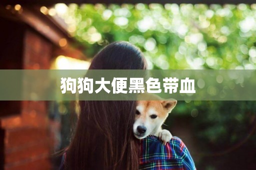 狗狗大便黑色帶血