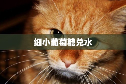 細小葡萄糖兌水