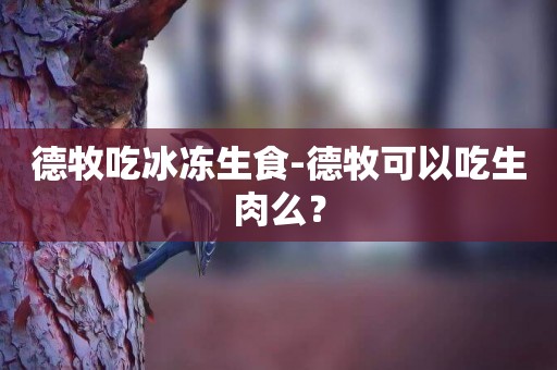 德牧吃冰凍生食-德牧可以吃生肉么？