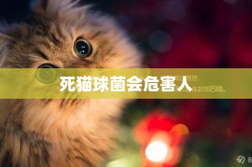 死貓球菌會危害人