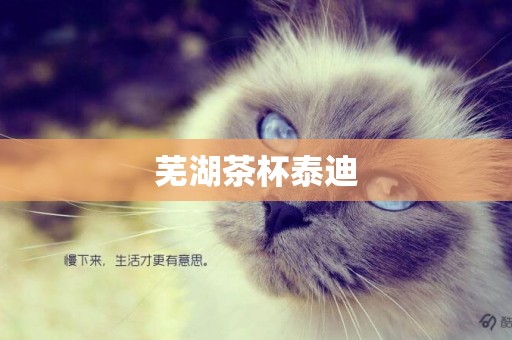 蕪湖茶杯泰迪