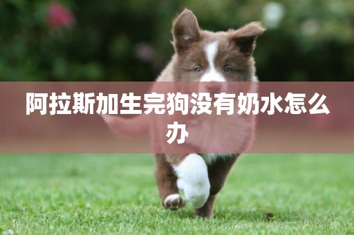 阿拉斯加生完狗沒有奶水怎么辦