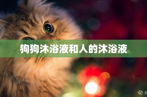 狗狗沐浴液和人的沐浴液