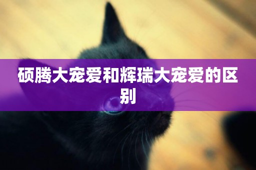 碩騰大寵愛和輝瑞大寵愛的區別