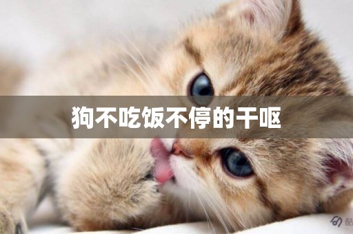 狗不吃飯不停的干嘔
