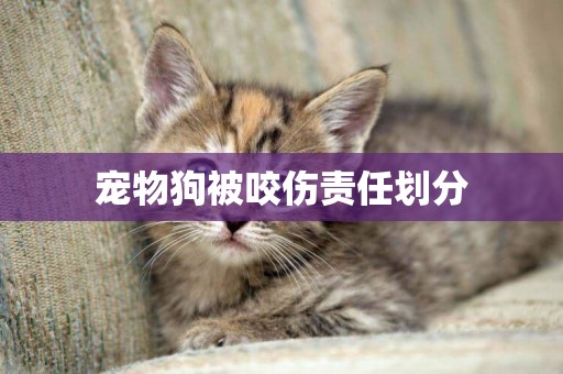寵物狗被咬傷責任劃分
