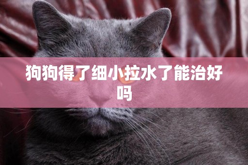狗狗得了細小拉水了能治好嗎