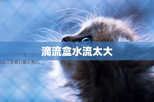 滴流盒水流太大