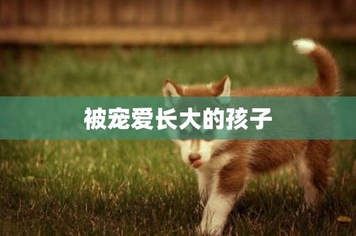 被寵愛長大的孩子