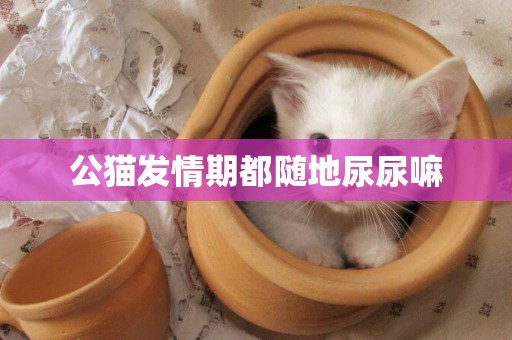 公貓發情期都隨地尿尿嘛