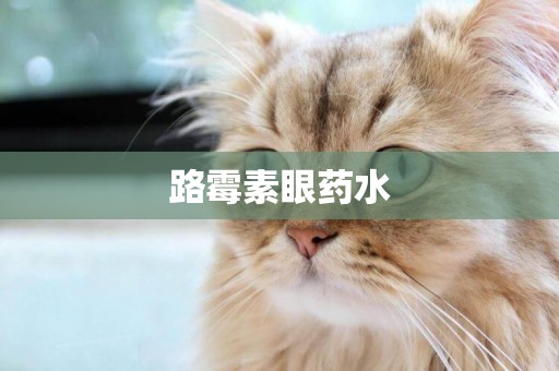 路霉素眼藥水