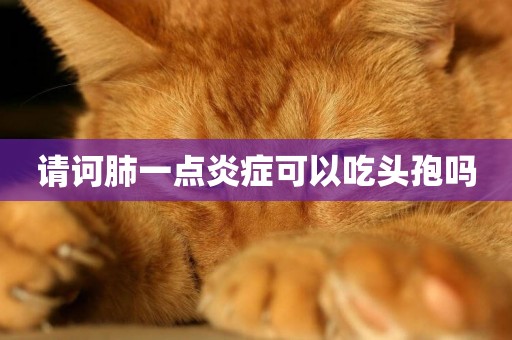 請訶肺一點炎癥可以吃頭孢嗎