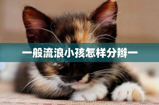 一般流浪小孩怎樣分辮一