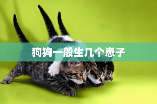 狗狗一般生幾個崽子