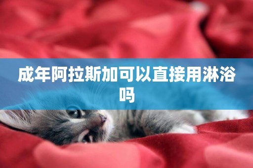 成年阿拉斯加可以直接用淋浴嗎