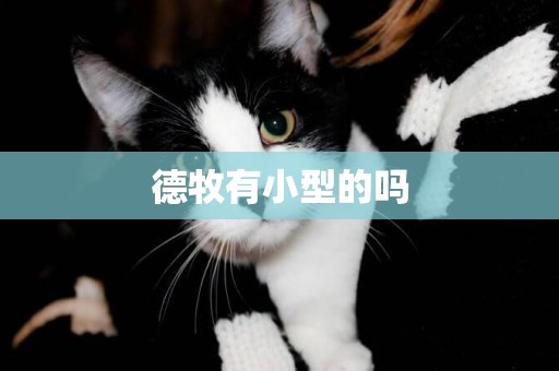 德牧有小型的嗎
