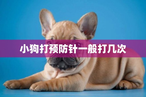 小狗打預防針一般打幾次