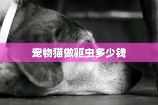 寵物貓做驅蟲多少錢