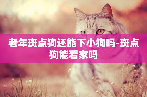 老年斑點狗還能下小狗嗎-斑點狗能看家嗎
