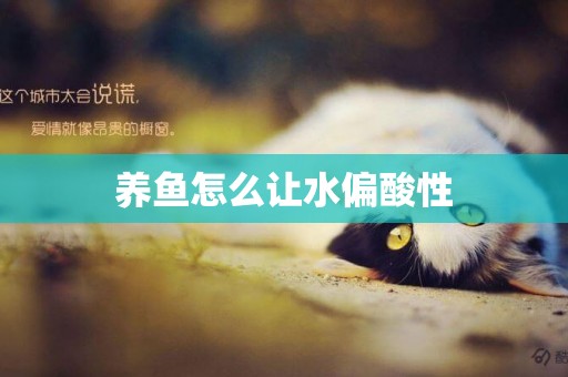 養魚怎么讓水偏酸性