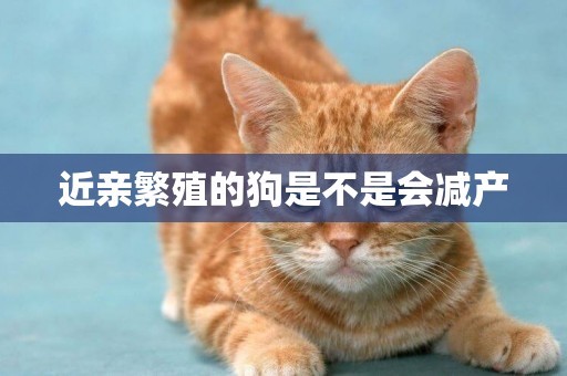 近親繁殖的狗是不是會減產