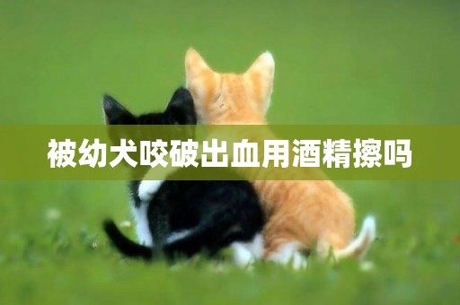 被幼犬咬破出血用酒精擦嗎