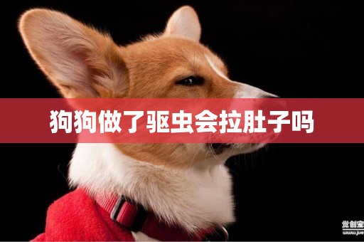 狗狗做了驅蟲會拉肚子嗎
