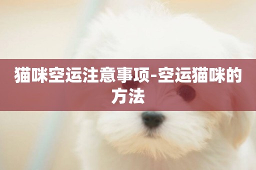 貓咪空運注意事項-空運貓咪的方法