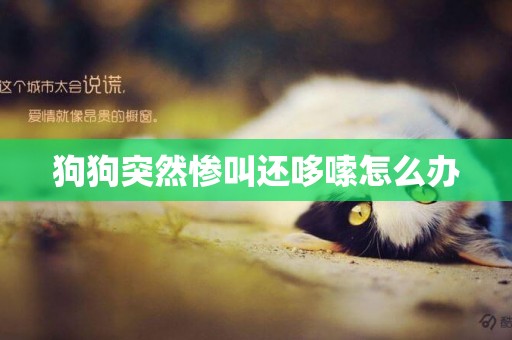 狗狗突然慘叫還哆嗦怎么辦