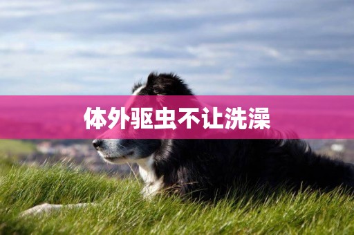 體外驅蟲不讓洗澡