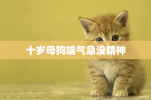 十歲母狗喘氣急沒精神
