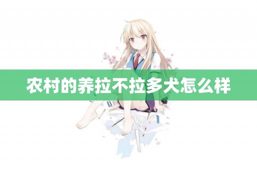 農村的養拉不拉多犬怎么樣