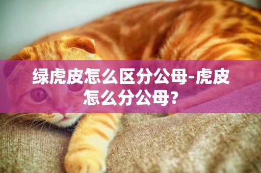 綠虎皮怎么區分公母-虎皮怎么分公母？