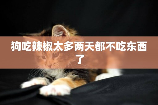 狗吃辣椒太多兩天都不吃東西了