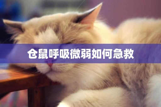 倉鼠呼吸微弱如何急救