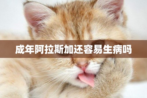 成年阿拉斯加還容易生病嗎