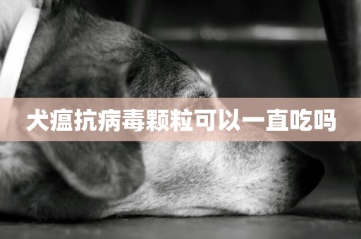 犬瘟抗病毒顆粒可以一直吃嗎