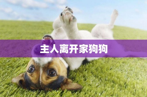 主人離開家狗狗